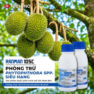 RANMAN 10SC: Giải pháp phòng trừ Phytophthora spp. siêu hạng
