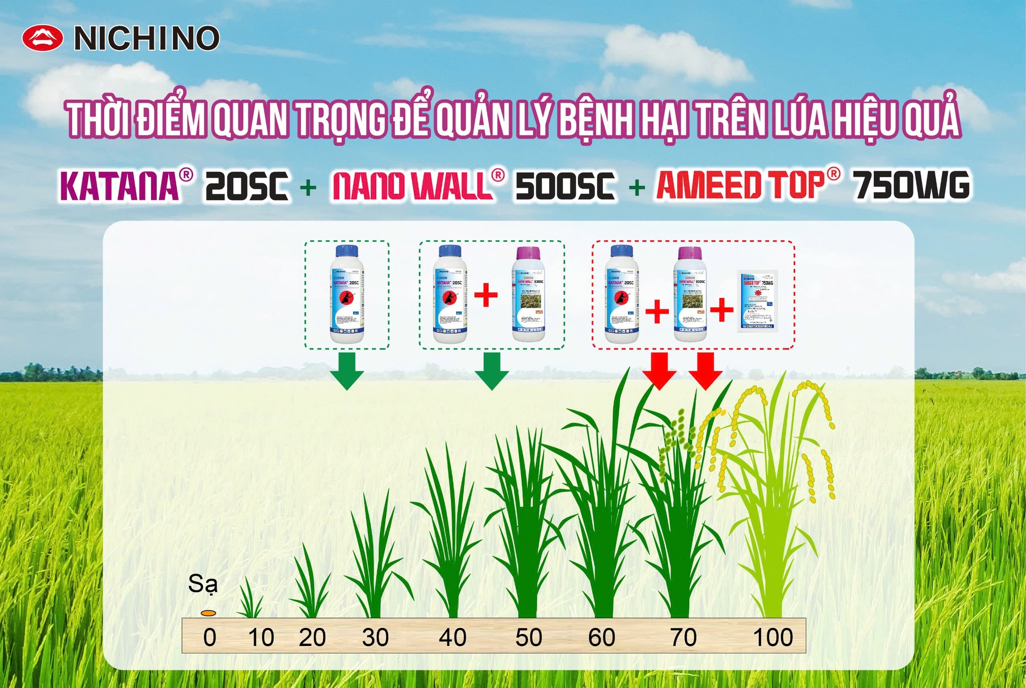 Katana 20sc - bộ ba trị bệnh lúa hiệu quả