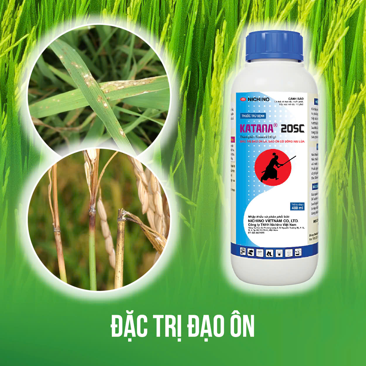  Katana 20SC. Giải pháp đặc trị đạo ôn toàn diện, xử lý triệt để nhánh gié