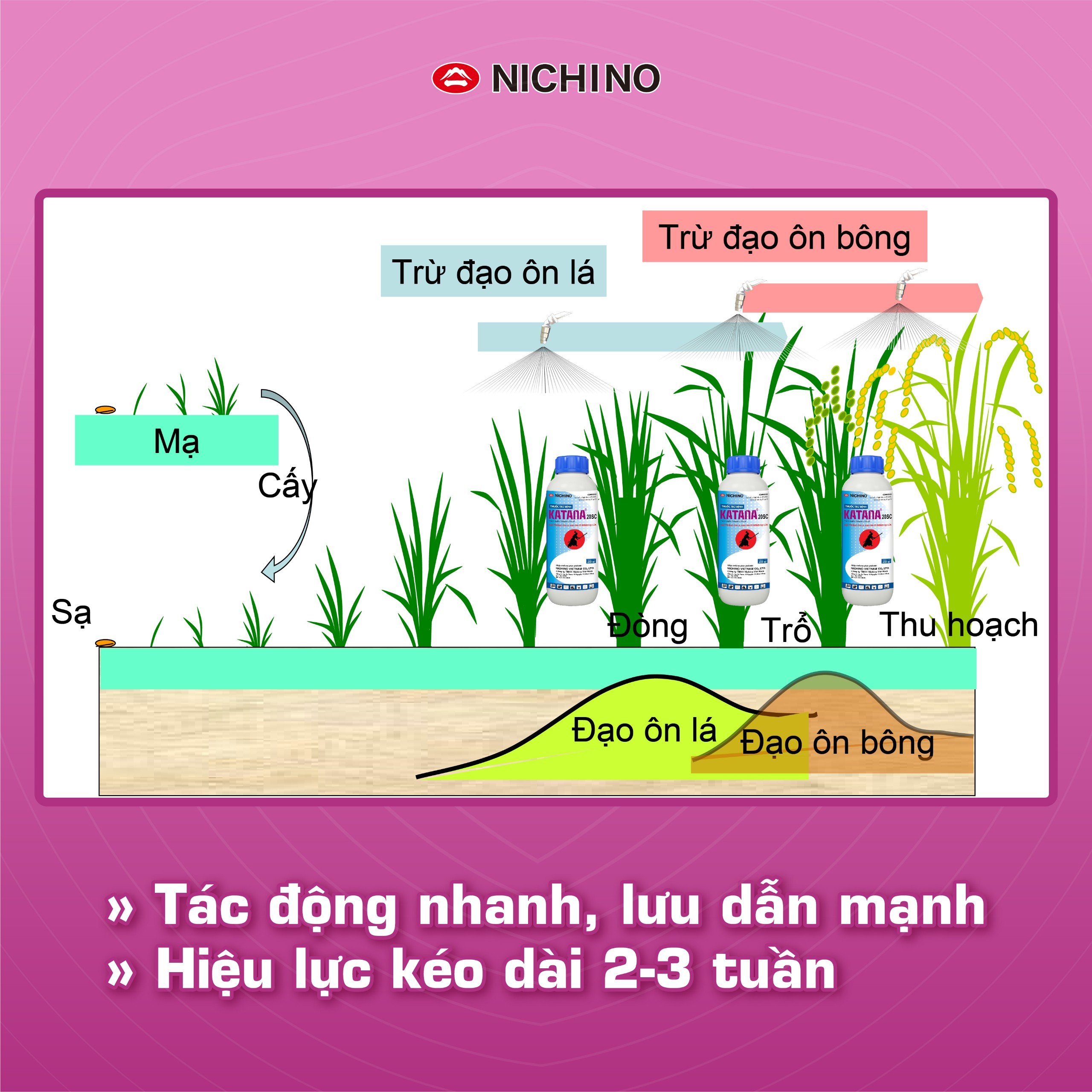 phòng trừ đạo ôn trên lúa hiệu quả với Katana